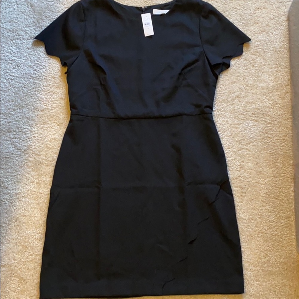 NWT LOFT Little Black Dress 14